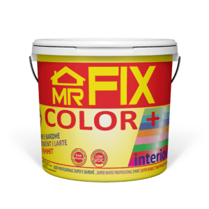 COLOR + INTERIOR